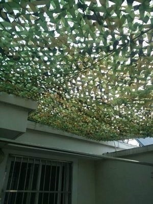 偽裝網不是只可以用來偽裝，更被廣泛應用于遮陽